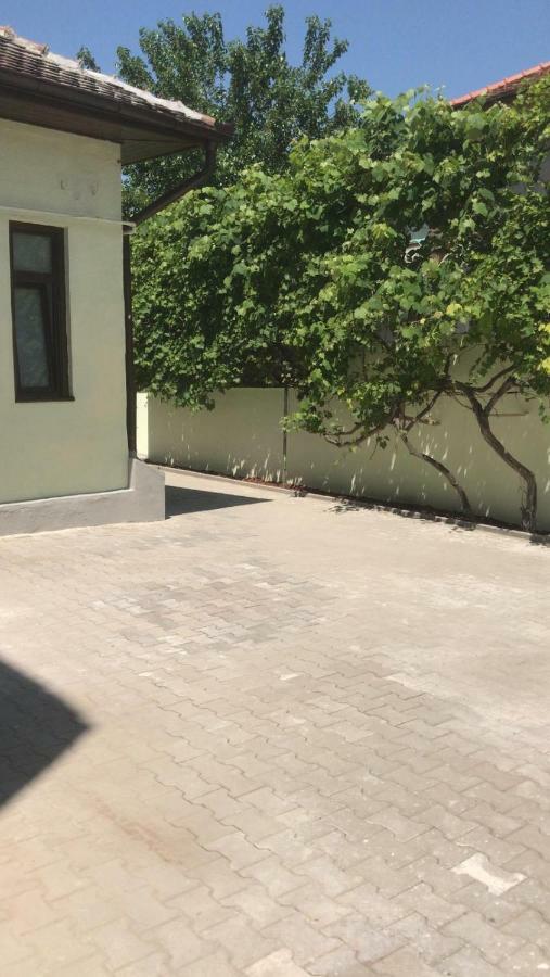 סיביו 1790 Margarethengasse Guesthouse מראה חיצוני תמונה